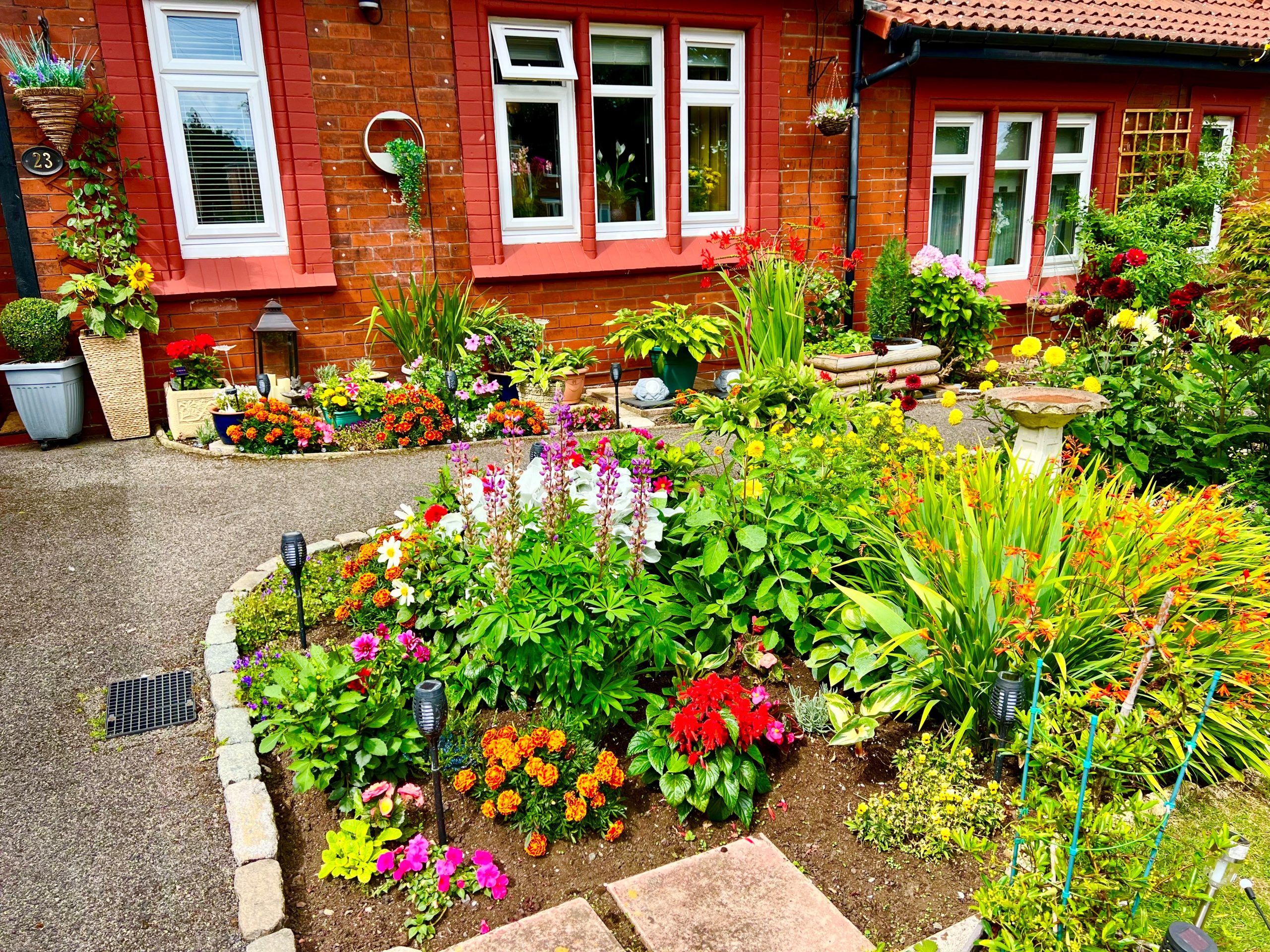 A Christmas to remember